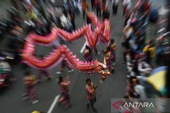 Berikut peluang 12 shio pada Tahun Naga Kayu