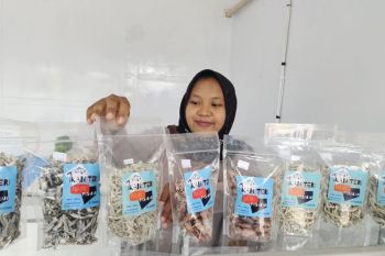 BKIPM Lampung sebut produk ikan teri Pulau Pasaran telah tersertifikasi