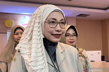 Kementan bidik lahan rawa sumbang 20 persen produksi beras