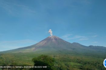 Gunung Semeru  luncurkan abu setinggi 800 meter ke arah tenggara