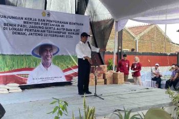 Mentan meminta petani laporkan bila bantuan di Jateng tak tiba sepekan