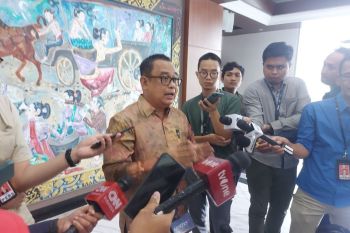 Istana: Beri kesempatan pemilih menentukan referensi pilihannya