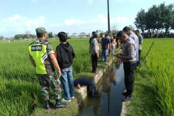 Mayat penjual ayam potong ditemukan telungkup di saluran sawah di Pidie