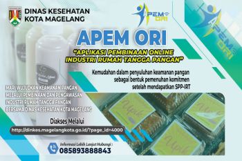 Apem Ori, aplikasi mudahkan perizinan UMKM di Kota Magelang