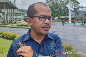 Bawaslu: Pengiriman logistik 4 kabupaten Papua terhambat cuaca