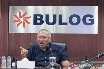 Bulog percayakan Satgas Pangan jika ada pelanggaran hukum soal beras