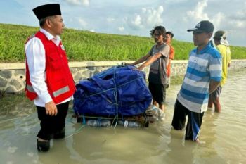 Rektor USM acungi jempol mahasiswa yang ikut tangani banjir Demak