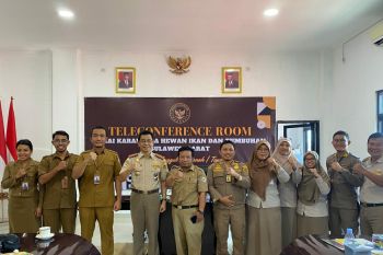 Pemprov Sulbar menerapkan aplikasi lalu lintas ternak berbasis daring