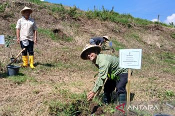 Untidar tanam pohon dalam  "sedekah bumi langit"