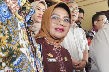 Lampung panen 800 ribu ton gabah kering di akhir Februari hingga Maret