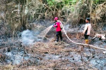 BMKG temukan 25 titik panas tersebar di Kalimatan Timur