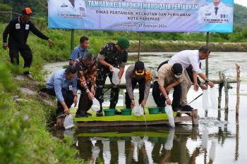 Penjabat Gubernur Sulsel tebar udang vaname di Parepare