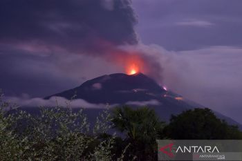PVMBG catat 821 kali erupsi terjadi pada Gunung Lewotolok
