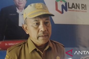 DLH Jayapura harap masyarakat adat menjaga dusun sagu sumber pangan utama