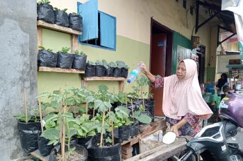 Distan Mataram mendorong warga kembangkan hortikultura melalui P2L