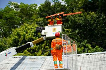PLN minta masyarakat waspadai aktivitas dekat jaringan listrik