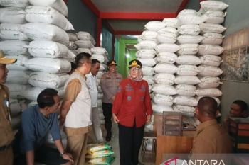 Pemkot Palangka Raya imbau masyarakat konsumsi beras SPHP