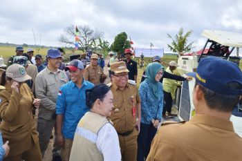 Pemerintah desa di Kapuas diminta optimalkan dana desa tingkatkan produksi pertanian