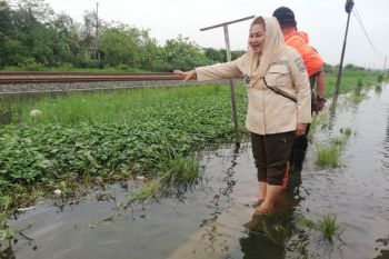 Jalan protokol kerap banjir, ini tindakan Pemkot Semarang