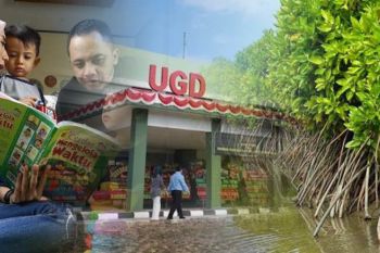 Kemarin, rehabilitasi mangrove hingga literasi keluarga basis digital