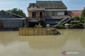 Diperpanjang 14 hari, masa tanggap darurat banjir Demak-Kudus, Jateng, sebut BNPB