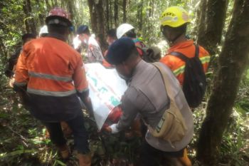 Seluruh korban Heli Bell 429 PK-WSW Maluku Utara berhasil dievakuasi