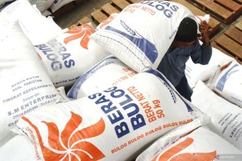 Bulog pastikan kualitas stok beras nasional 3,9 juta ton tetap terjaga