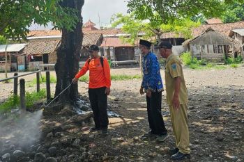 BPBD Probolinggo semprot disinfektan pasar hewan guna antisipasi PMK