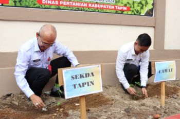 Pj Bupati Tapin bagikan bibit ribuan cabai tekan inflasi