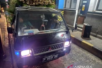 Pasokan Janur ke Bali meningkat menjelang Hari Raya Galungan