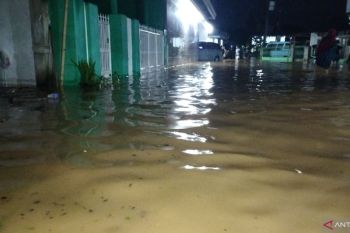 Sejumlah rumah warga di Lampung Selatan terendam banjir