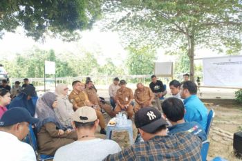 Pemprov Sulbar mengembangkan usaha kakao berkelanjutan