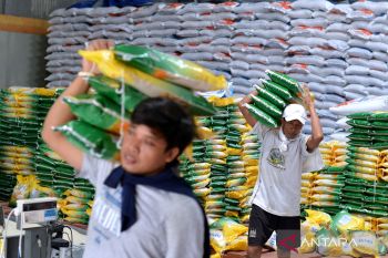 Stok beras Bulog di Bali