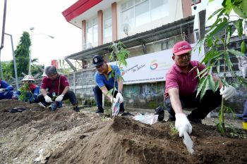 Kilang Cilacap hijaukan Pantai Teluk Penyu untuk mitigasi perubahan iklim