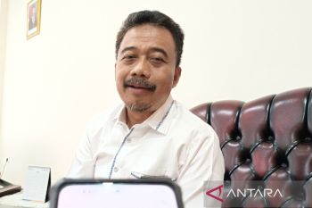 Perum Bulog: Beras asal tiga negara beredar di Tanah Papua