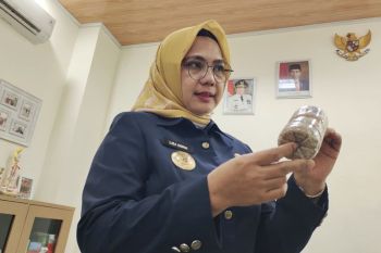 Pemprov Lampung kembangkan pakan ikan mandiri berbahan cangkang rajungan