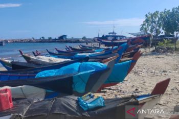 Harga Ikan Laut Mahal, Nelayan Abdya Keluhkan Hasil Tangkapan Menurun