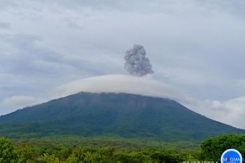 Gunung Lewotolok erupsi lontarkan abu 1.000 meter