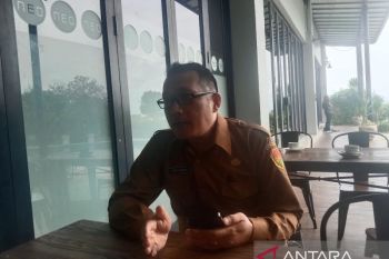 146 ekor ternak babi di NTT mati akibat virus ASF