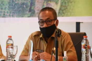 Dinas Ketahanan Pangan : Stok beras Sulbar aman hingga tiga bulan ke depan