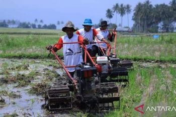 Program bajak sawah gratis Tanah Datar sasar 4.400 hektare lahan pada 2024