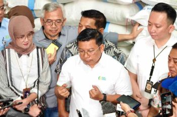 Jelang panen raya, harga beras nasional akan terkoreksi
