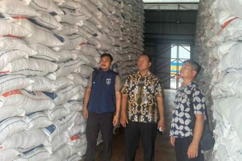Satgas Pangan Polda Sulbar memastikan stok beras aman