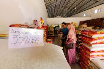 Harga beras di Situbondo berangsur turun