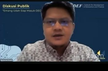 Indef: RI perlu tingkatkan rantai nilai global sebelum gabung OECD