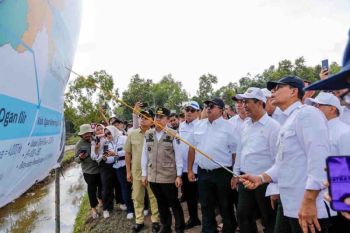 Kementan siapkan lahan Sumsel jadi penyangga pangan