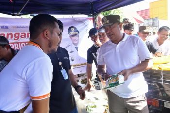 Pj Gubernur Sulsel pastikan stok beras aman hingga Juni 2024
