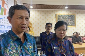 BPS sebut kabupaten lumbung padi Bali alami inflasi beras tertinggi