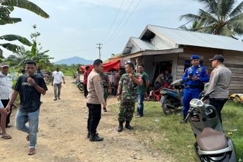 Tim gabungan evakuasi korban dimangsa buaya di Sumbar