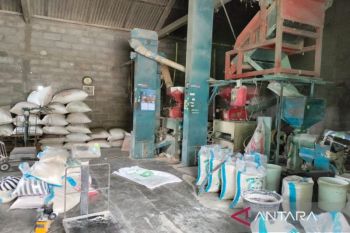 Kulon Progo kampanyekan setop boros pangan agar stok aman